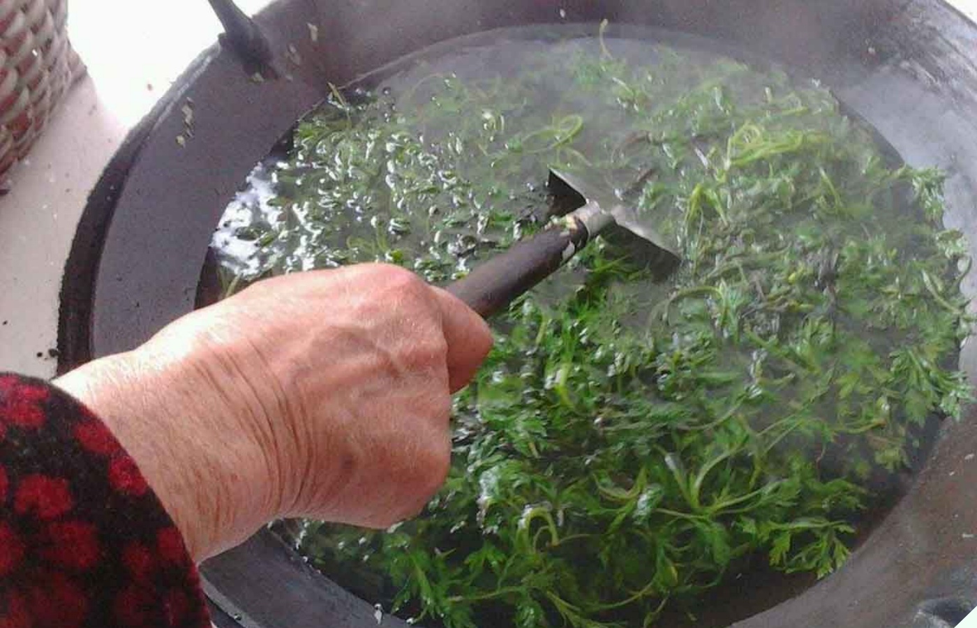 Đi chợ gặp loại rau là “bảo bối toàn thân” mua về nấu với thứ này của con gà thành món quý hơn vàng - Ảnh 3.