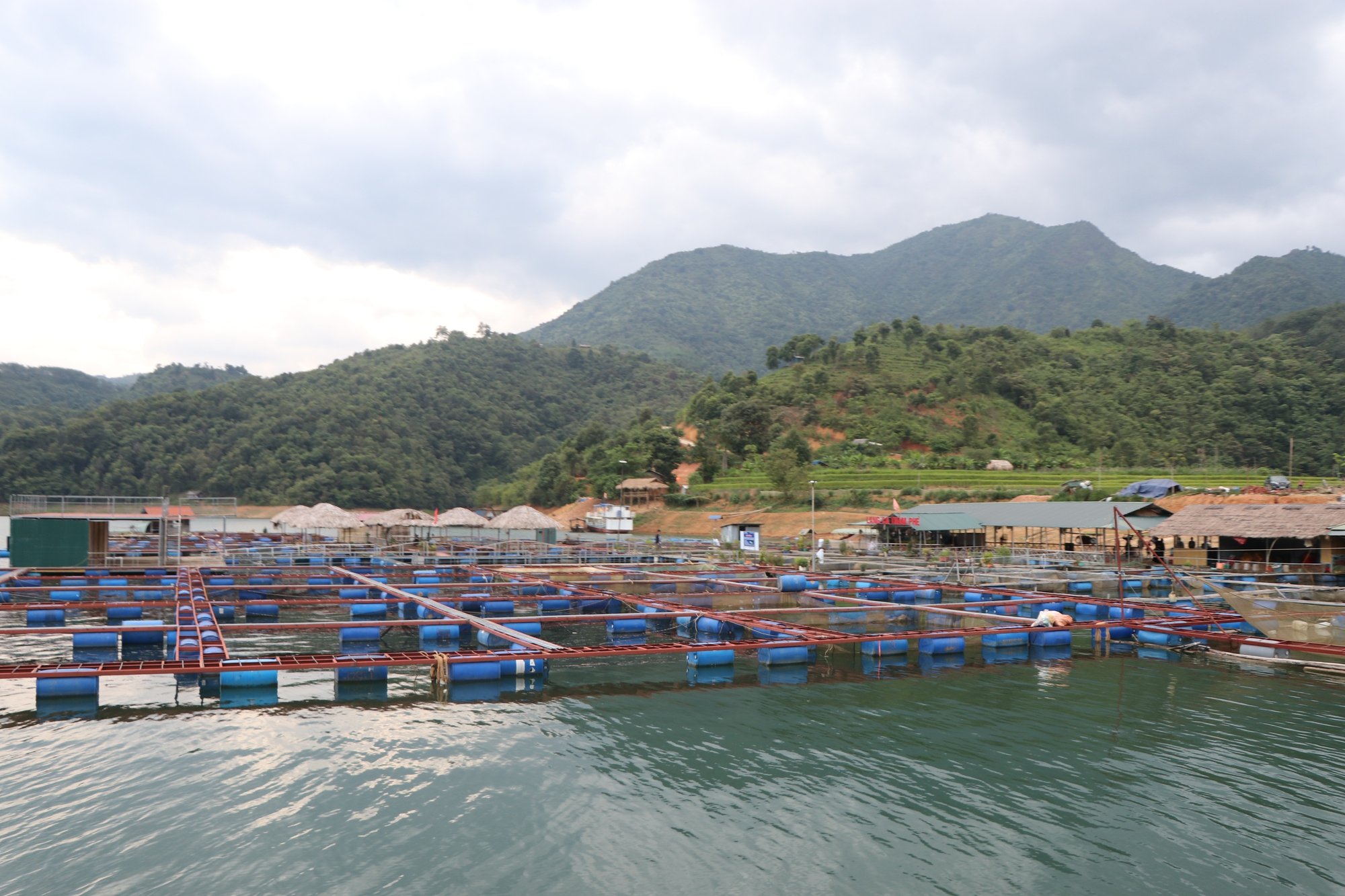 Dấu ấn khuyến nông với những mô hình &quot;5 tăng&quot;: - Ảnh 1.
