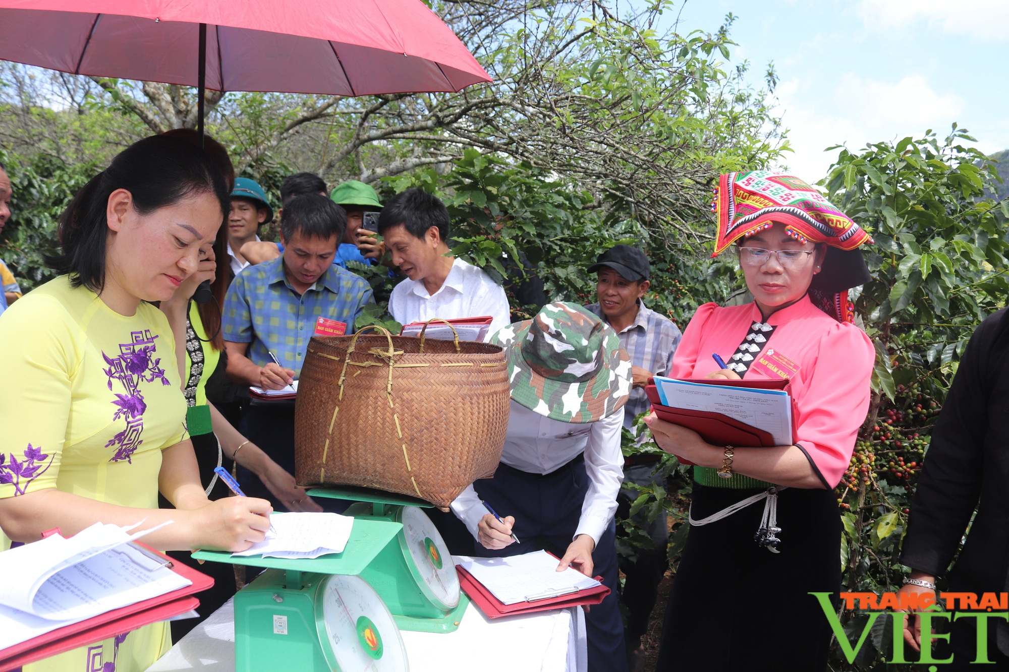 Tưng bừng Ngày hội cà phê thành phố Sơn La 2022 - Ảnh 11.