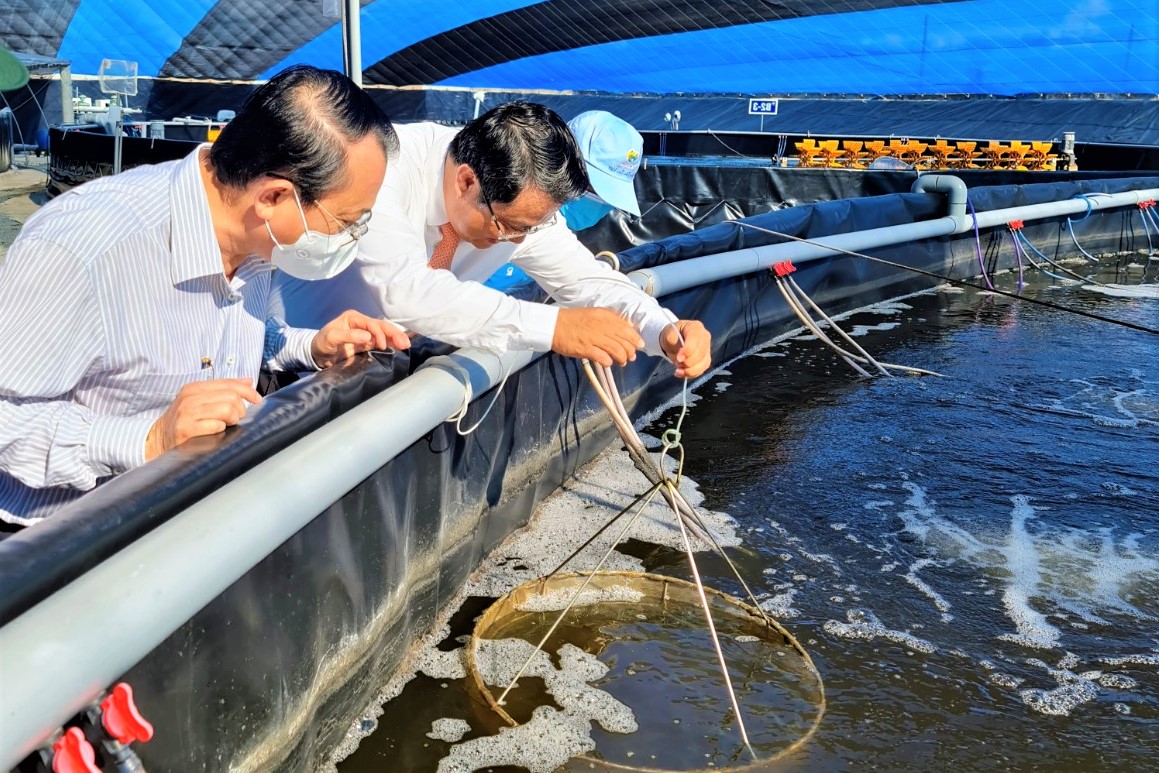 Cấp mã số cơ sở nuôi trồng thủy sản – cơ sở để quản lý và truy xuất nguồn gốc, đảm bảo ATTP - Ảnh 1.