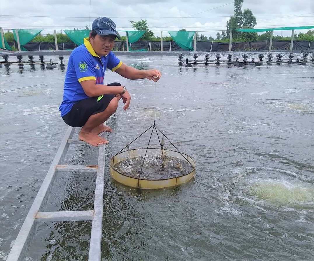 Cấp mã số cơ sở nuôi trồng thủy sản – cơ sở để quản lý và truy xuất nguồn gốc, đảm bảo ATTP - Ảnh 2.