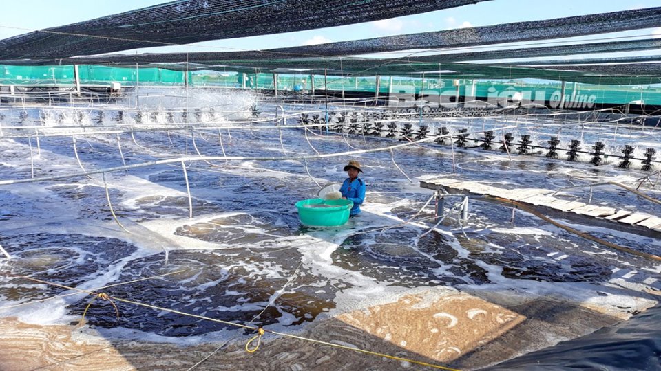 Cấp mã số cơ sở nuôi trồng thủy sản – cơ sở để quản lý và truy xuất nguồn gốc, đảm bảo ATTP - Ảnh 4.