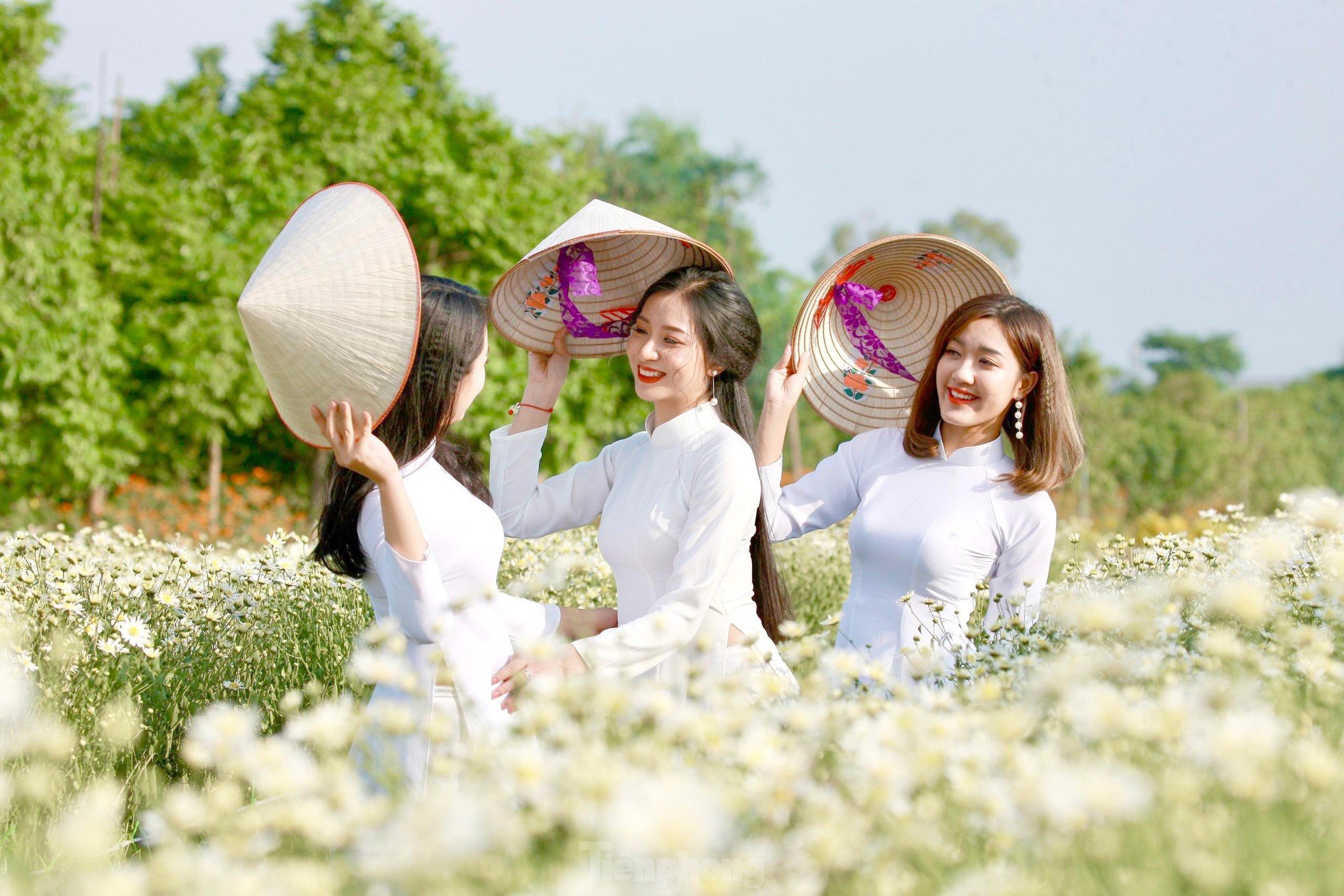 Xao xuyến ngắm thiếu nữ diện áo dài tạo dáng bên loài hoa báo đông - Ảnh 6.
