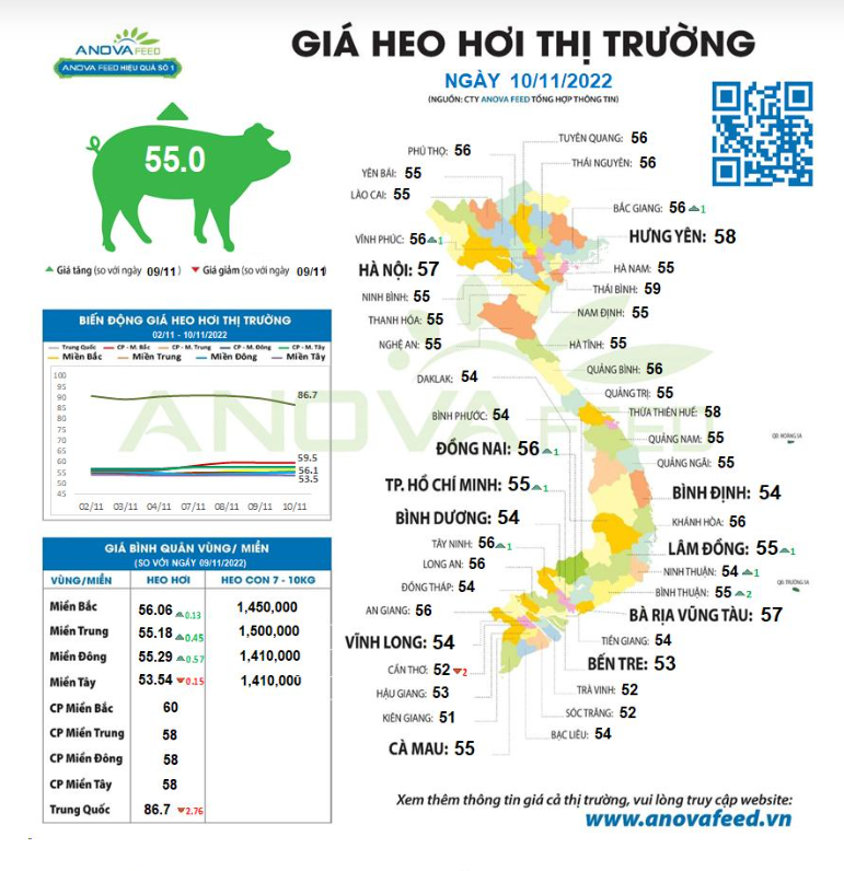 Giá lợn hơi toàn quốc đi lên, hy vọng trở lại mức giá &quot;đầu số 6&quot; - Ảnh 2.