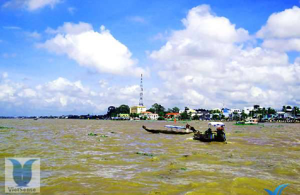 Lục bình trôi - Ảnh 2.