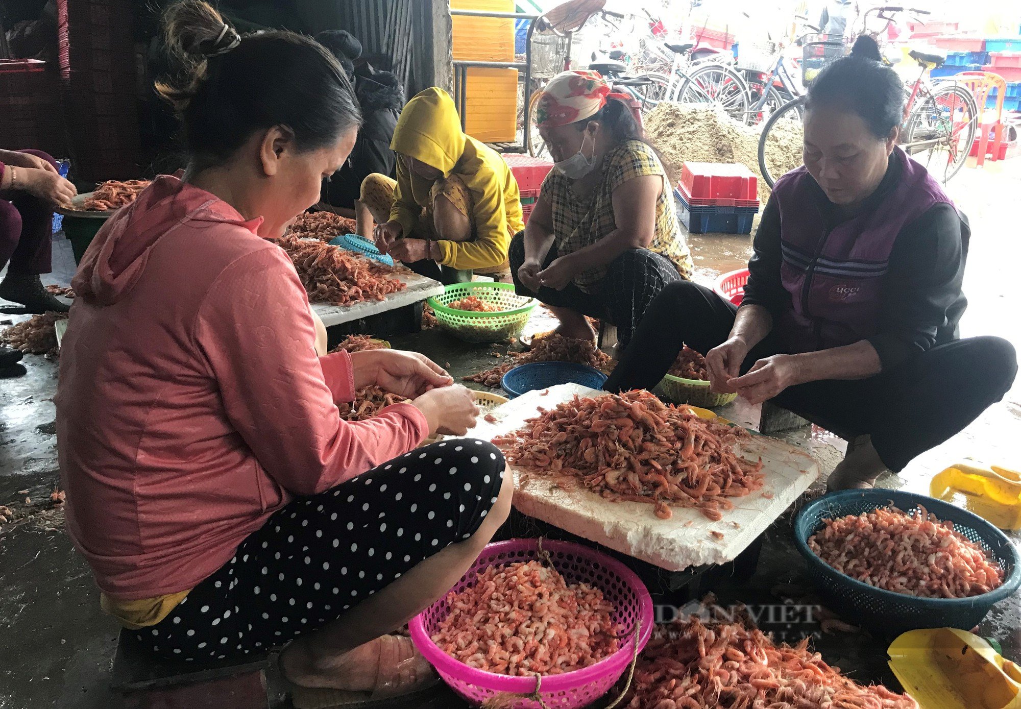 Nghề tay nhanh là tiền nhiều, chị em cứ rảnh là vào việc kiếm tiền tươi ngay tại cảng cá - Ảnh 4.