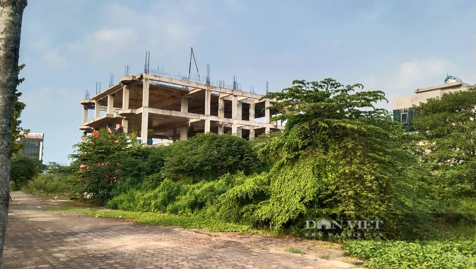 Liên quan đến khu đô thị Thanh Hà Cienco 5: Tạm dừng một quyết định mới ban hành gần 2 năm - Ảnh 1.