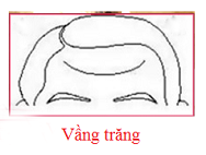 Người có 1 trong 5 nếp nhăn ở vị trí này vượng tài lộc, cuộc sống giàu sang - Ảnh 3.
