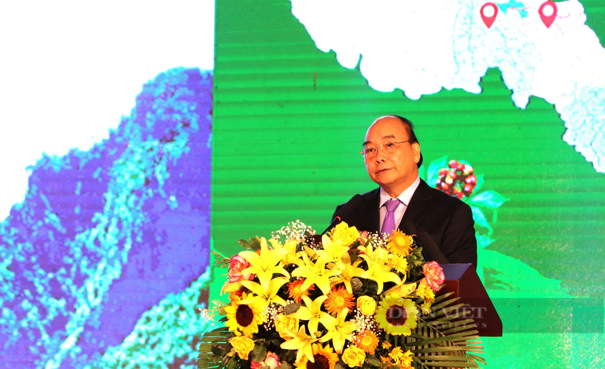 Bảo tồn, quy hoạch phát triển Sâm Lai Châu, đưa Lai Châu phát triển - Ảnh 3.