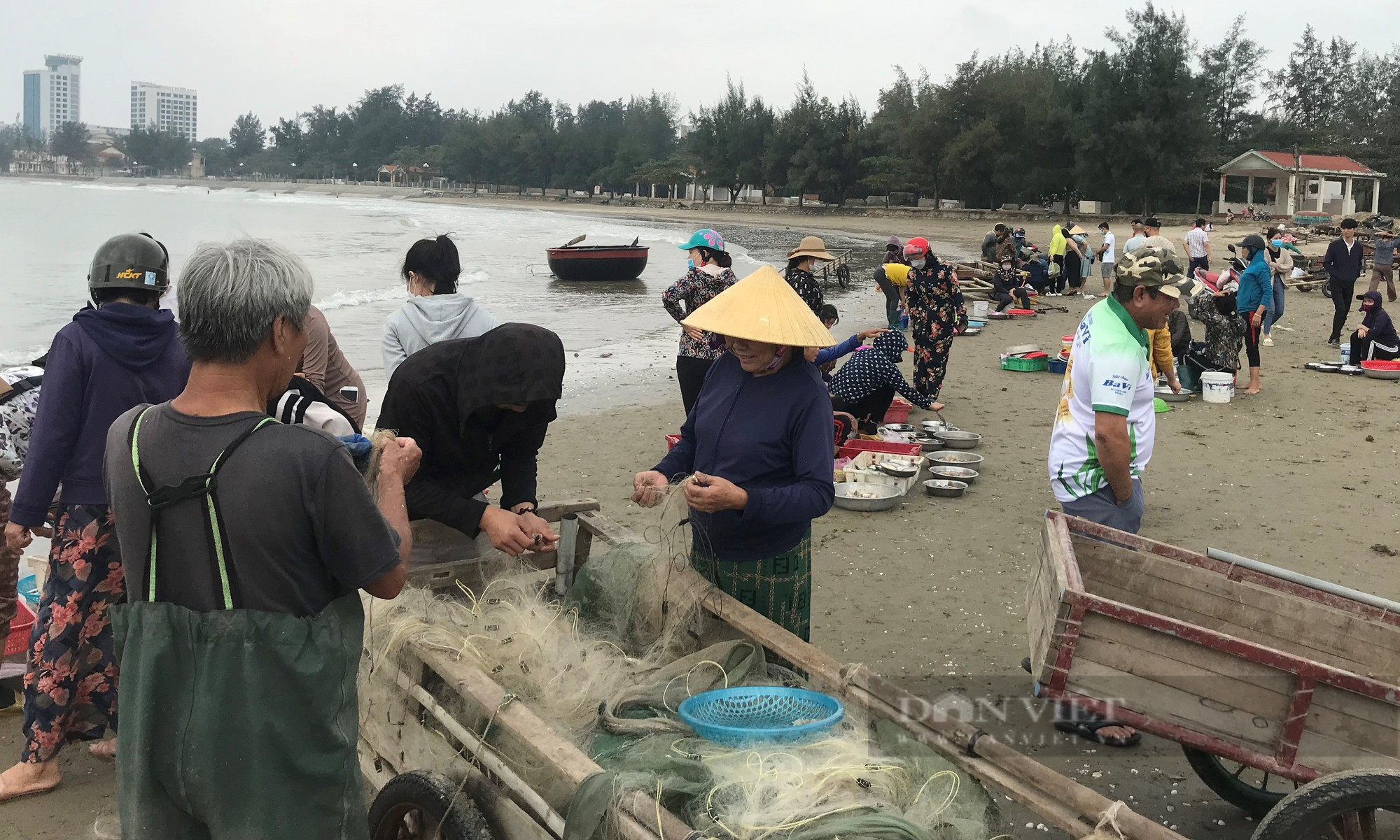 Ở Nghệ An có một nơi hải sản thuộc hàng cực phẩm được bán theo mớ, khách ra tận bãi biển tranh nhau mua - Ảnh 2.
