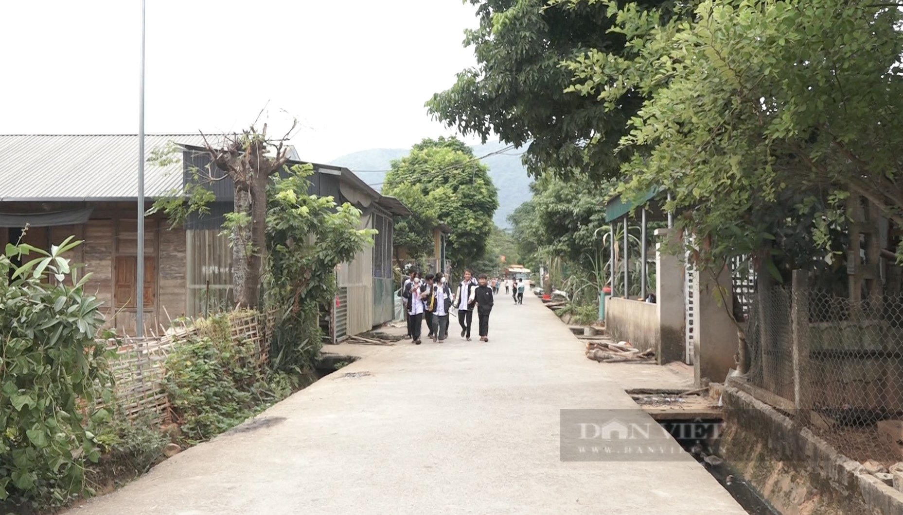 Nông dân vùng cao Lai Châu &quot;vui cái bụng&quot; từ làm nông thôn mới - Ảnh 6.