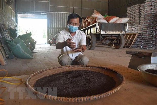 Loại hạt gia vị nào của Việt Nam xuất khẩu nhiều nhất thế giới, hạt này không phải hạt điều - Ảnh 3.