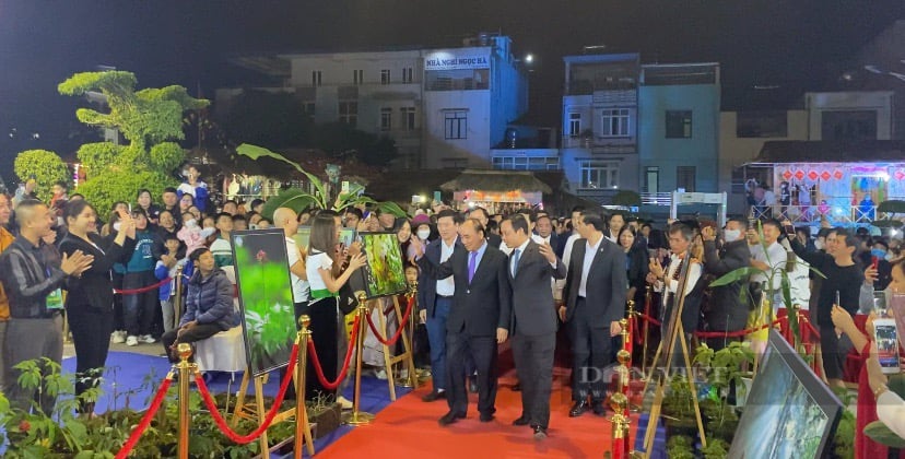 Bảo tồn, quy hoạch phát triển Sâm Lai Châu, đưa Lai Châu phát triển - Ảnh 1.