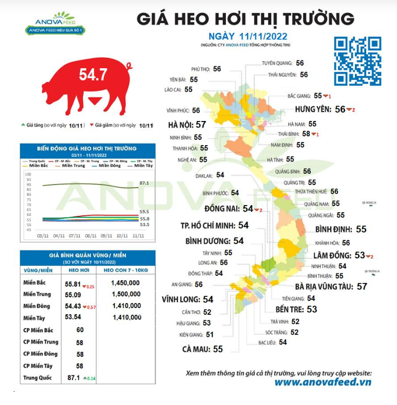 Vì sao giá lợn tăng không bền vững ngay dịp cao điểm? - Ảnh 2.