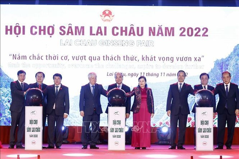 Quan tâm bảo tồn và quy hoạch phát triển Sâm Lai Châu để đồng bào thoát nghèo, vươn lên làm giàu - Ảnh 1.