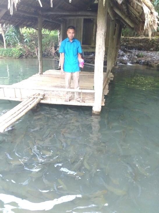 Nuôi loài cá quý hiếm, nước trong leo lẻo thấy bơi từng đàn, nông dân Hòa Bình bán đắt vẫn khối người mua - Ảnh 2.