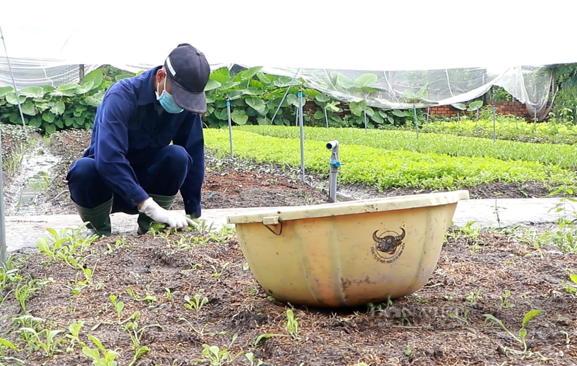 Sự cần thiết của việc chuyển dịch cơ cấu nông nghiệp trong giai đoạn mới tại TP.HCM - Ảnh 1.