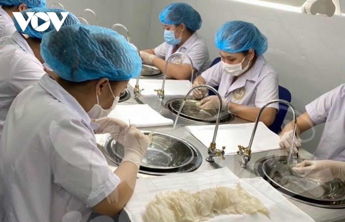 Nông dân hồ hởi, phấn khởi trước thông tin tổ yến “bay” chính ngạch sang Trung Quốc - Ảnh 1. Nông dân hồ hởi, phấn khởi trước thông tin tổ yến “bay” chính ngạch sang Trung Quốc - Ảnh 1.