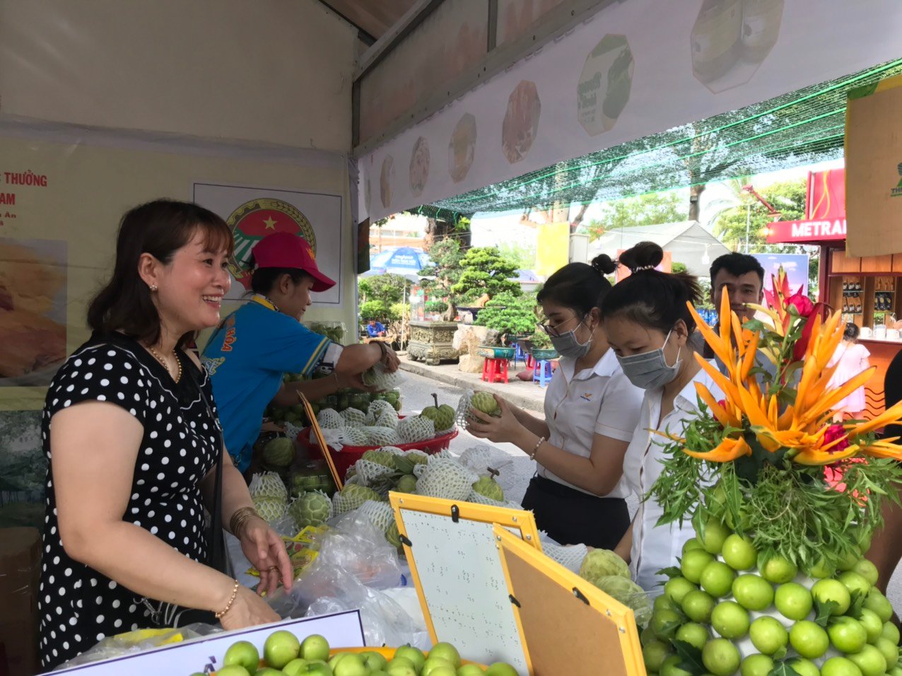Giá táo tăng mạnh, nông dân Khánh Hòa phấn khởi - Ảnh 3.