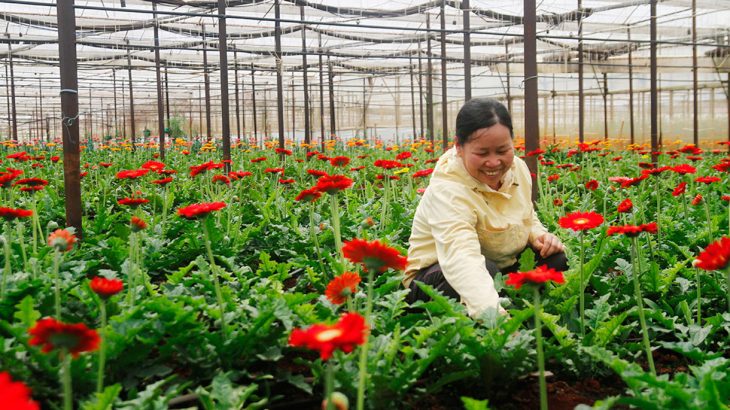 Chuyển mình bằng nông nghiệp công nghệ cao, đưa huyện lên thành phố - Ảnh 3.