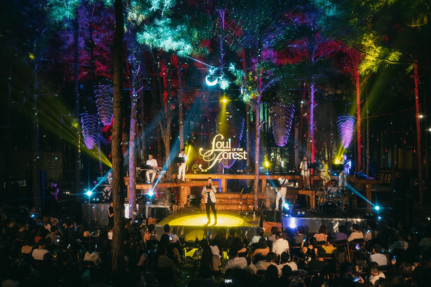 Bằng Kiều trở lại ấn tượng với đêm nhạc Soul of the Forest “Cơn mơ băng giá” - Ảnh 2.