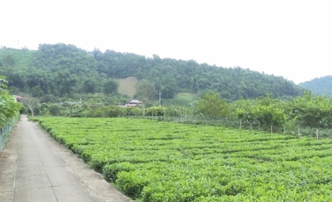 Bắc Kạn xây dựng Nông thôn mới gắn với phát triển du lịch - Ảnh 2.