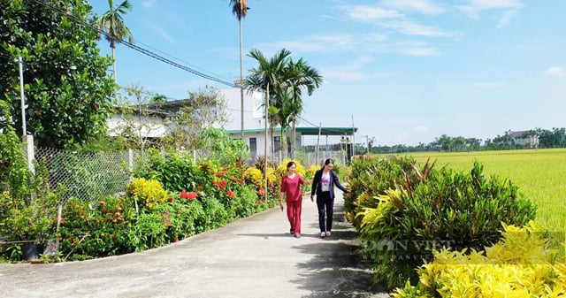 Phó Chủ tịch Hội NDVN Đinh Khắc Đính chủ trì Hội nghị giao ban Cụm thi đua số 4 tổ chức tại Quảng Ngãi- Ảnh 4.