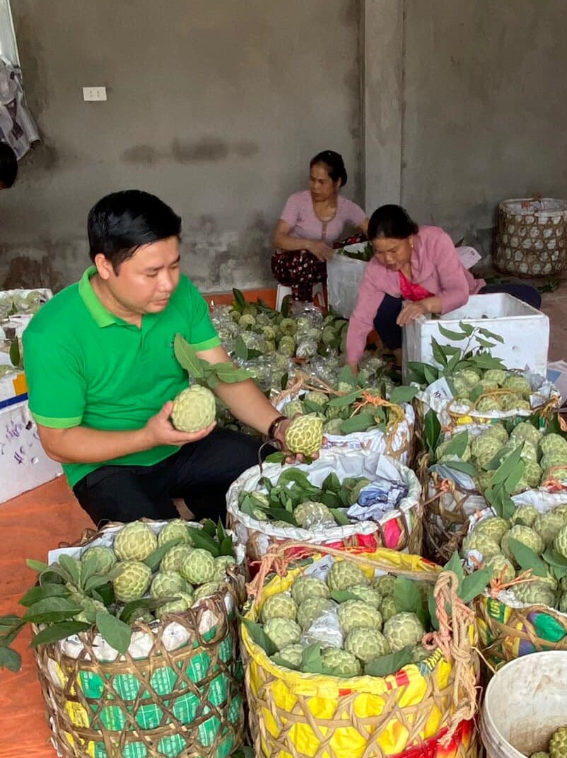 Bắt cây na &quot;đẻ&quot; quả trái vụ, có cây cho nửa tạ quả, nông dân Lạng Sơn thu tiền tỷ - Ảnh 3.