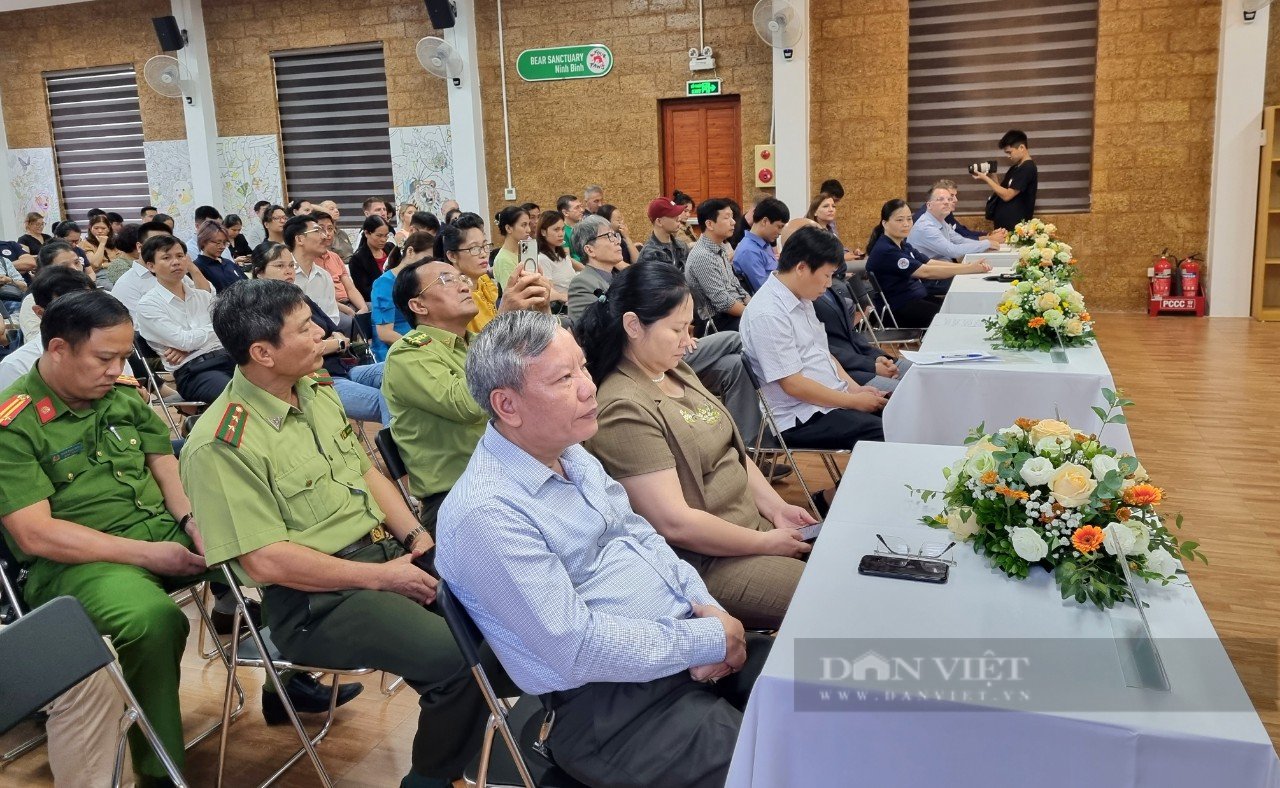 Gần 50 cá thể gấu ngựa được chăm sóc ở Ninh Bình - Ảnh 1.
