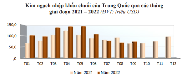 Xuất khẩu rau quả của Việt Nam vọt tăng nhờ Trung Quốc hút hàng - Ảnh 4.