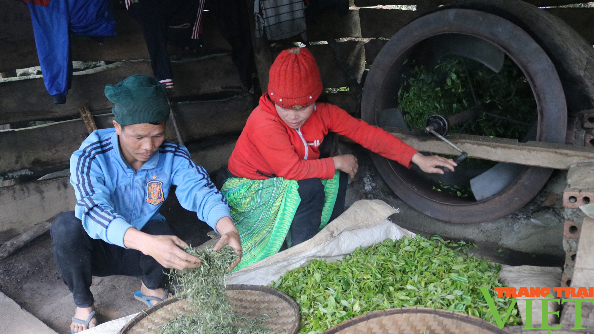 Phát triển kinh tế vùng đồng bào dân tộc thiểu số - Ảnh 5.