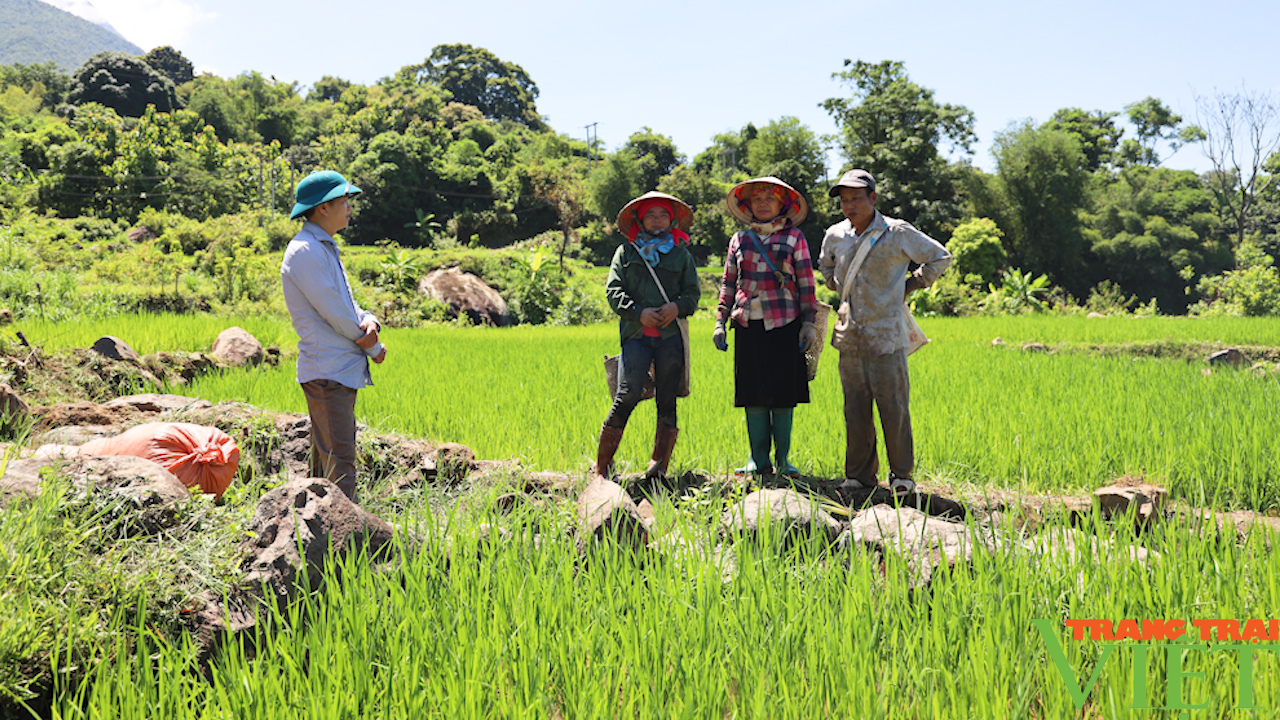 Phát triển kinh tế vùng đồng bào dân tộc thiểu số - Ảnh 7.