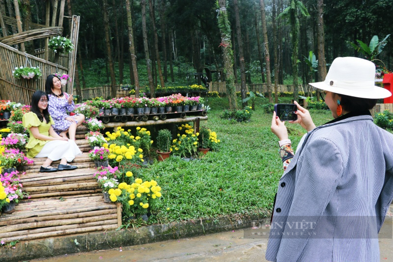 Người dân đổ về Thiên Sơn Suối Ngà cắm trại, ngắm trưng bày hoa cúc &quot;Mùa tri ân&quot; - Ảnh 7.