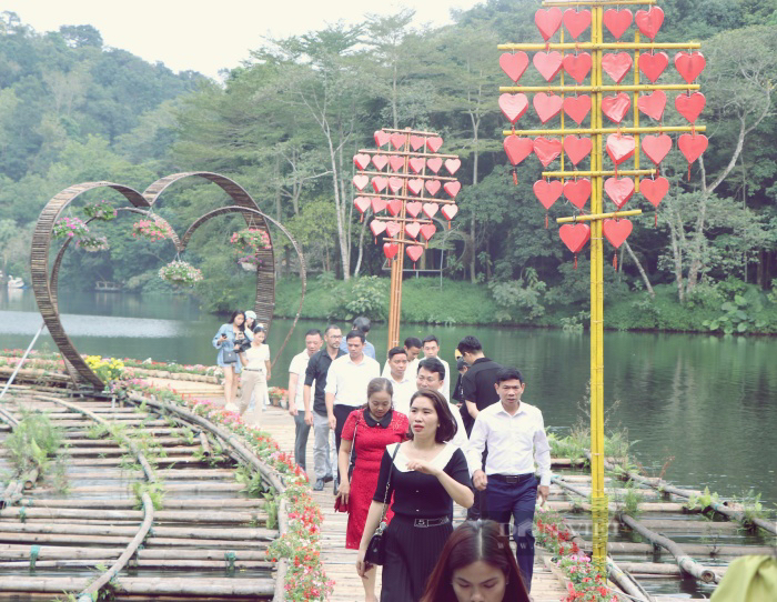 Người dân đổ về Thiên Sơn Suối Ngà cắm trại, ngắm trưng bày hoa cúc &quot;Mùa tri ân&quot; - Ảnh 4.