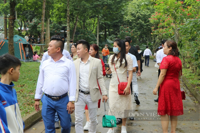 Người dân đổ về Thiên Sơn Suối Ngà cắm trại, ngắm trưng bày hoa cúc &quot;Mùa tri ân&quot; - Ảnh 3.
