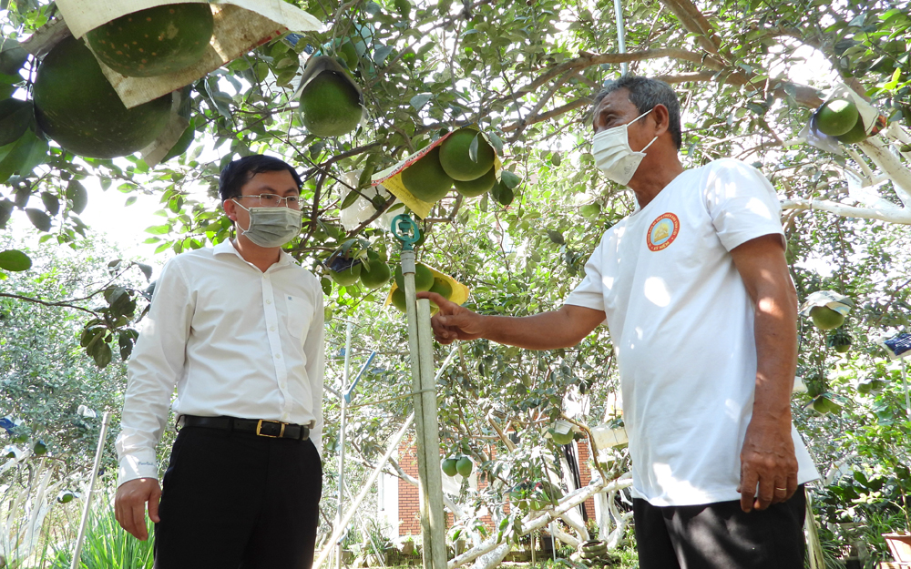 Bình Dương hướng đến mục tiêu mở rộng mô hình Làng thông minh trên toàn tỉnh