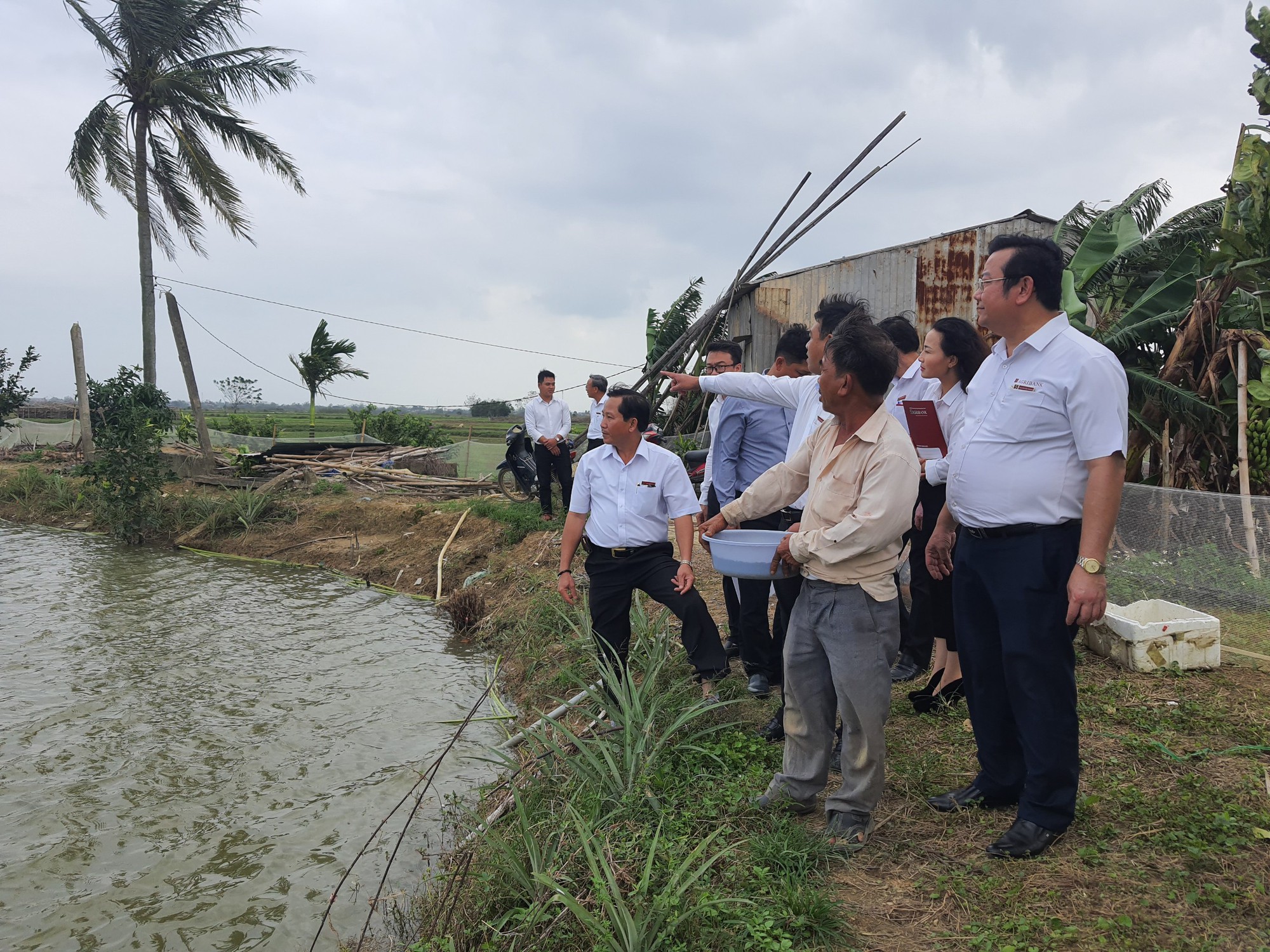 Thừa Thiên - Huế: Agribank miền Trung tiếp sức cho nông dân vùng “rốn lũ” Quảng Điền khôi phục sản xuất - Ảnh 3. Thừa Thiên - Huế: Agribank miền Trung tiếp sức cho nông dân vùng “rốn lũ” Quảng Điền khôi phục sản xuất - Ảnh 3.