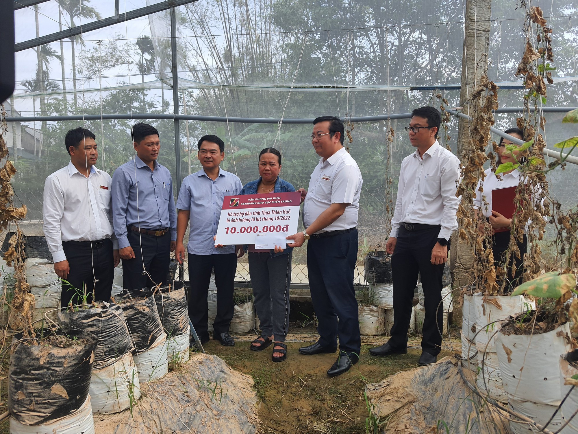 Thừa Thiên - Huế: Agribank miền Trung tiếp sức cho nông dân vùng “rốn lũ” Quảng Điền khôi phục sản xuất - Ảnh 1. Thừa Thiên - Huế: Agribank miền Trung tiếp sức cho nông dân vùng “rốn lũ” Quảng Điền khôi phục sản xuất - Ảnh 1.