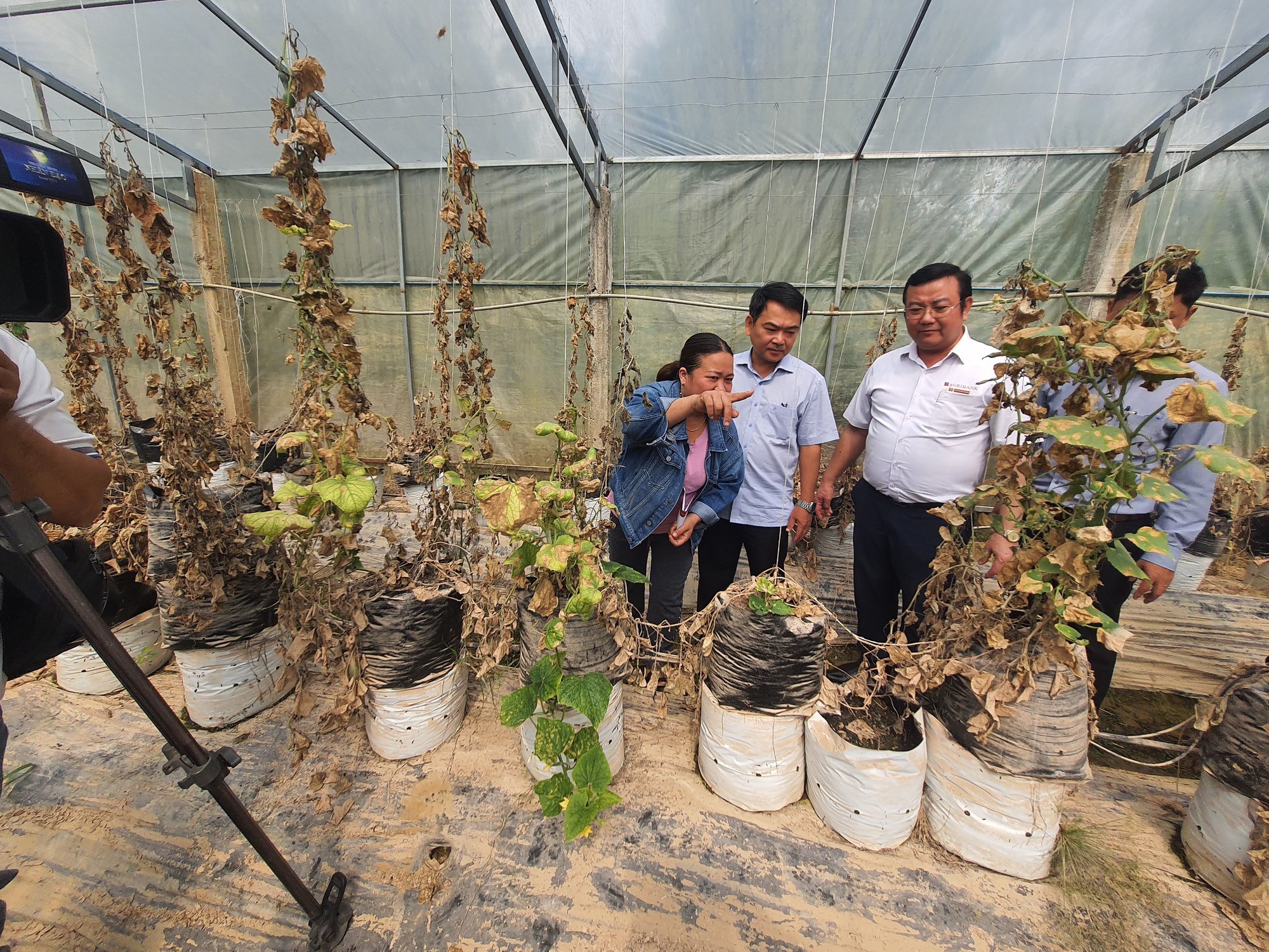 Thừa Thiên - Huế: Agribank miền Trung tiếp sức cho nông dân vùng “rốn lũ” Quảng Điền khôi phục sản xuất - Ảnh 4. Thừa Thiên - Huế: Agribank miền Trung tiếp sức cho nông dân vùng “rốn lũ” Quảng Điền khôi phục sản xuất - Ảnh 4.