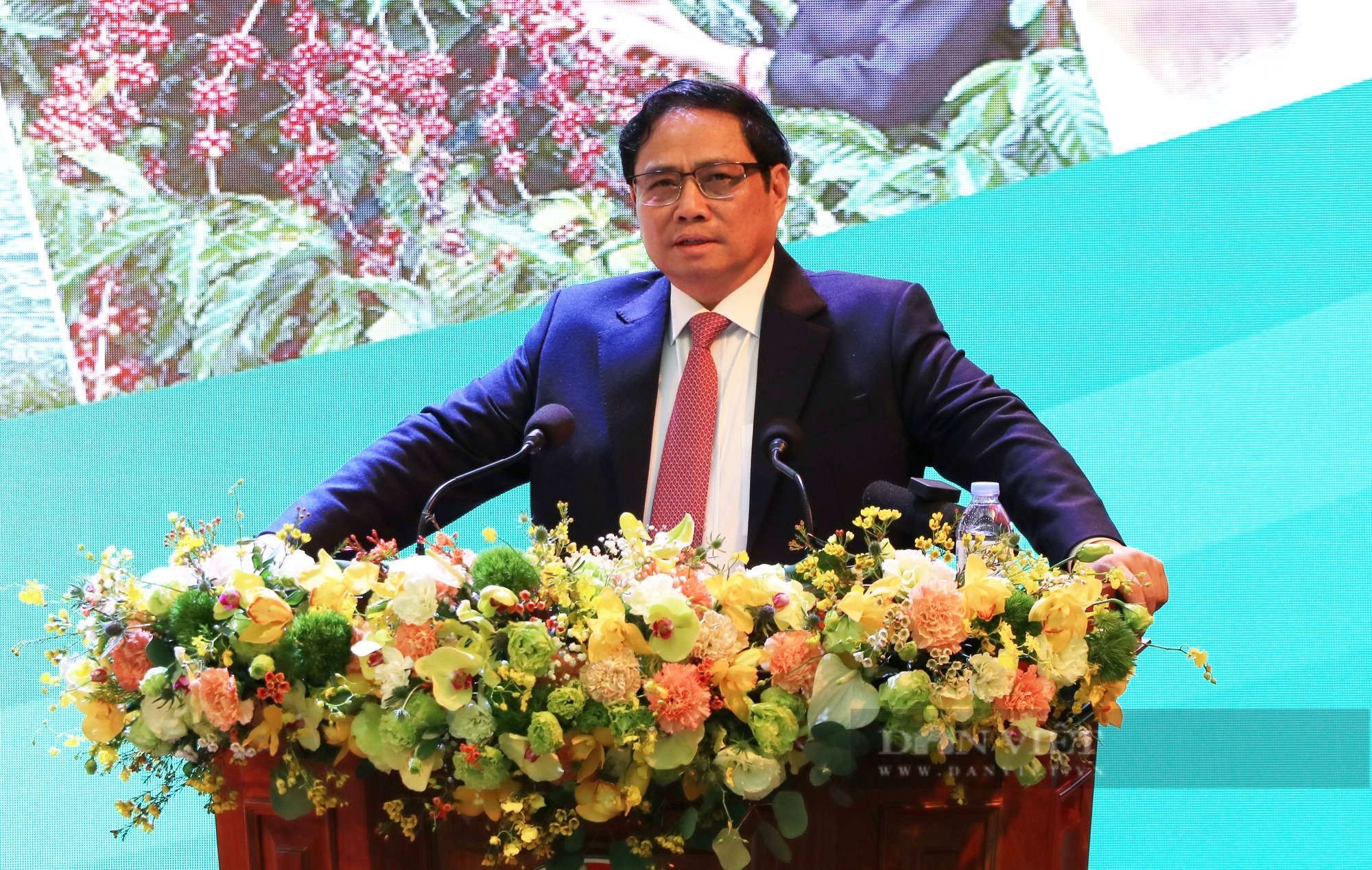 Đưa Tây Nguyên thành trung tâm sản xuất, chế biến sâu nông sản chủ lực - Ảnh 1.