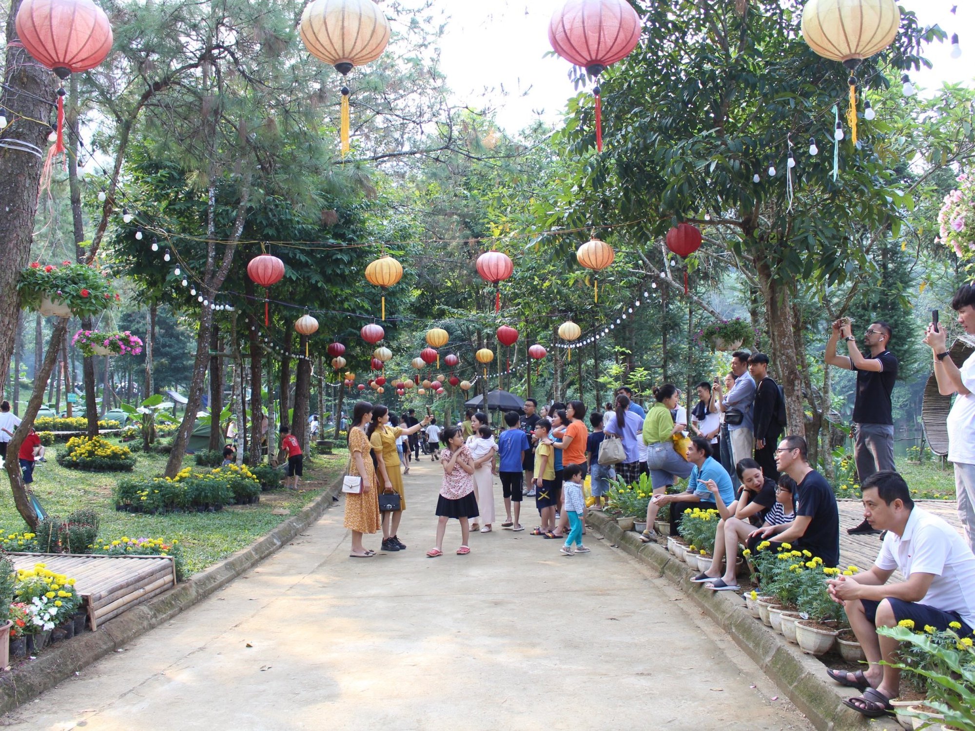 Say đắm không gian sự kiện trưng bày hoa cúc tại MEDI Thiên Sơn 2022 - Ảnh 1.