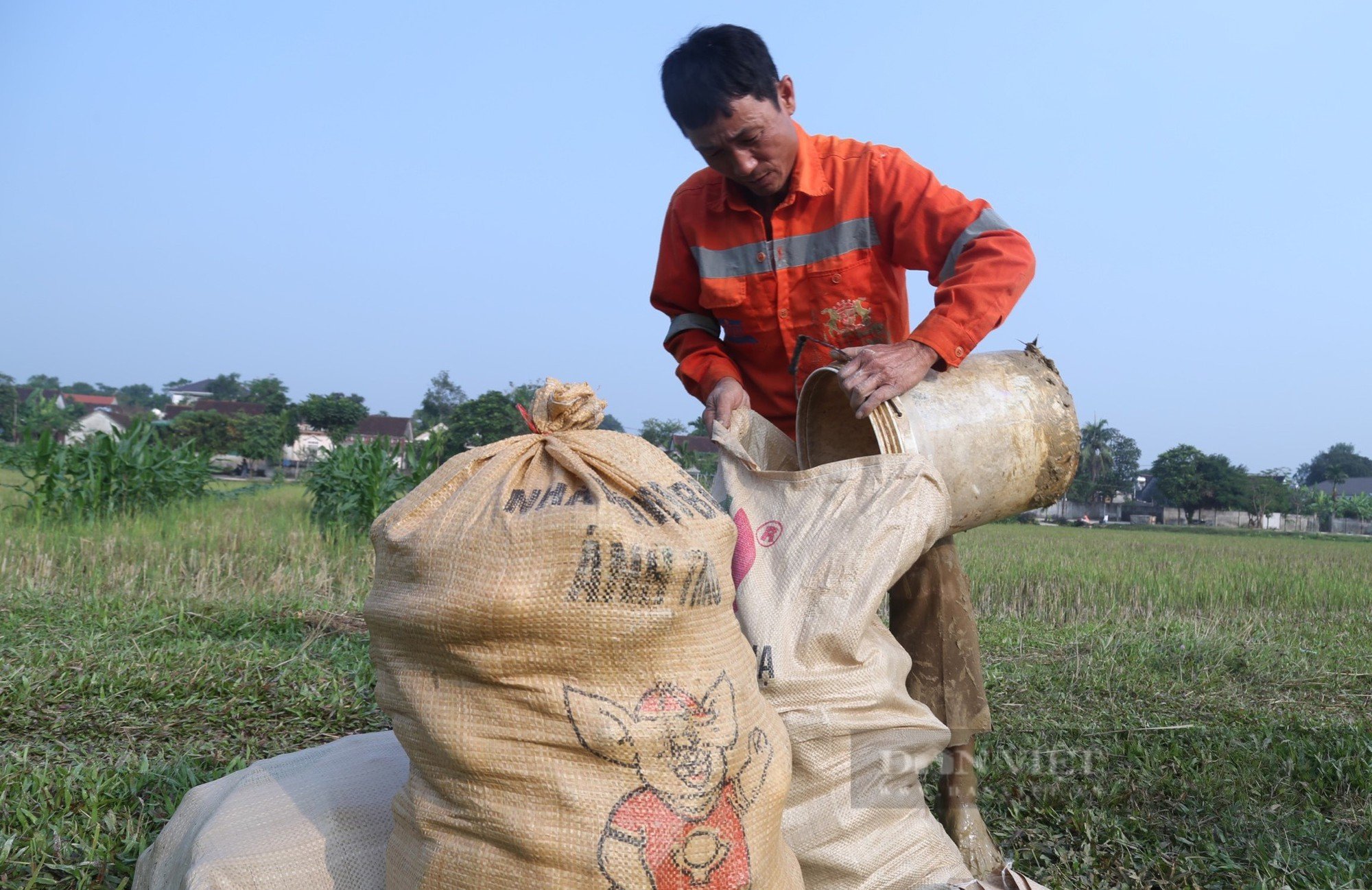 Đất vụ đông để không, nông dân Nghệ An trồng thứ cây ra quả trĩu giàn, kiếm hàng chục triệu - Ảnh 5.