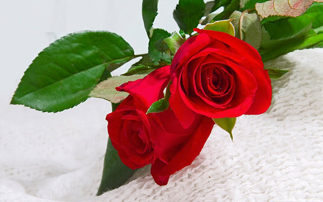 Sinh vào 5 ngày Âm lịch này, tài năng hơn người, mang đến phúc khí cho gia đình - Ảnh 3.