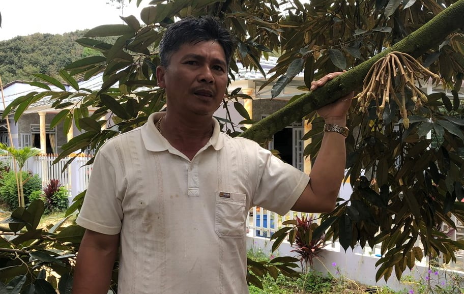 Bình Thuận: Nông dân háo hức khi sầu riêng Đa Mi được xuất khẩu sang thị trường Trung Quốc - Ảnh 6.