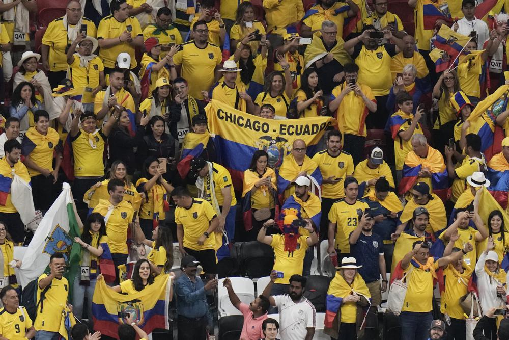 Ecuador đối diện nguy cơ bị phạt vì cổ động viên đồng thanh hô câu &quot;bất ngờ&quot; - Ảnh 1.