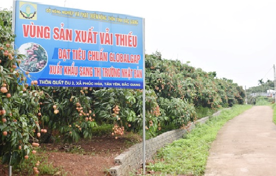 Quản lý mã số vùng trồng và cơ sở đóng gói trong xuất khẩu nông sản: Chuyện cũ nói mãi không thừa - Ảnh 2. Quản lý mã số vùng trồng và cơ sở đóng gói trong xuất khẩu nông sản: Chuyện cũ nói mãi không thừa - Ảnh 2.