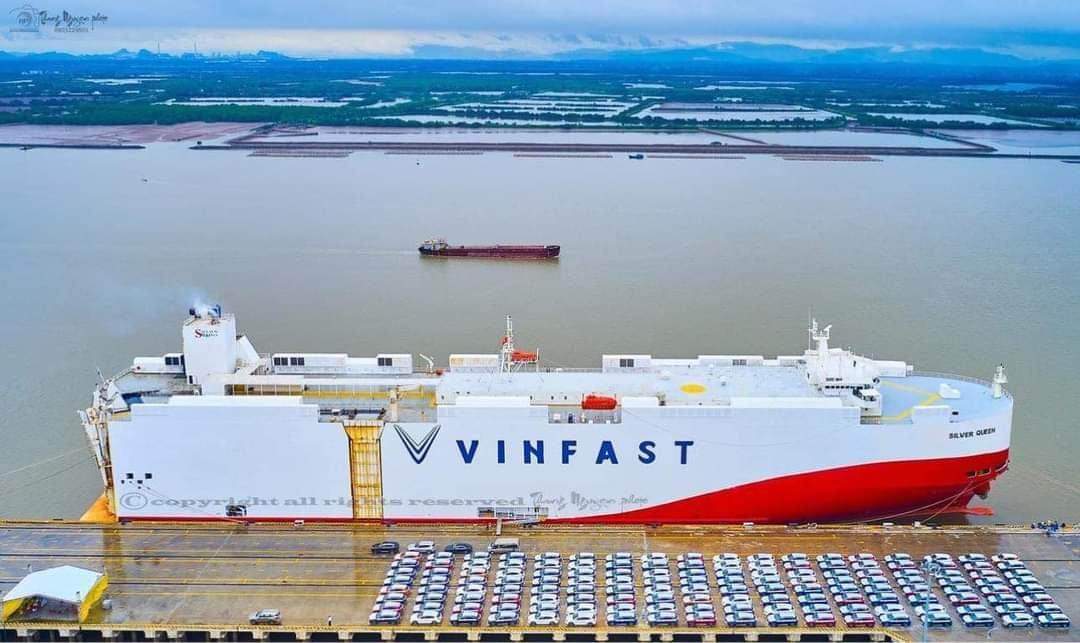 Thủ tướng Chính phủ dự Lễ ra mắt xe điện VinFast - Ảnh 1.