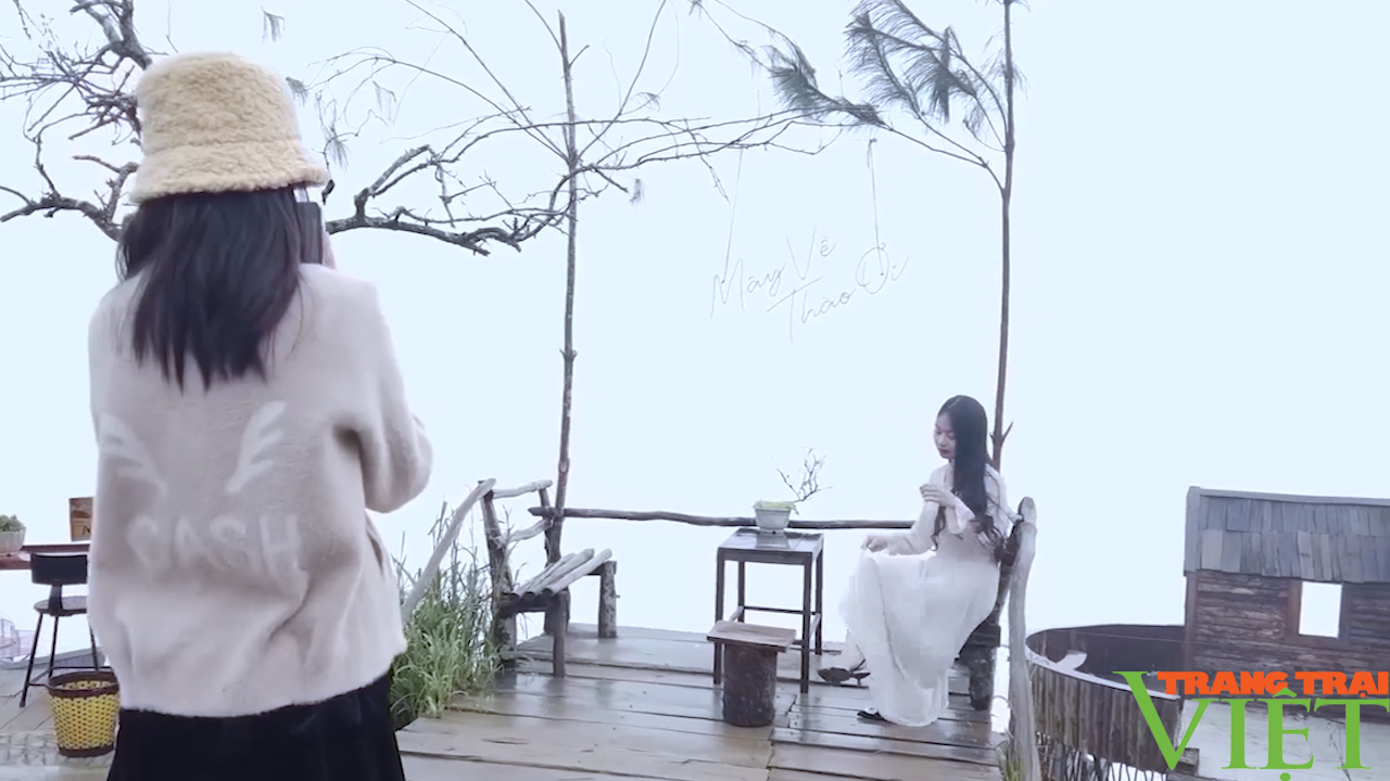 "Thiên đường mây" trên đỉnh Tà Xùa - Ảnh 8. "Thiên đường mây" trên đỉnh Tà Xùa - Ảnh 8.