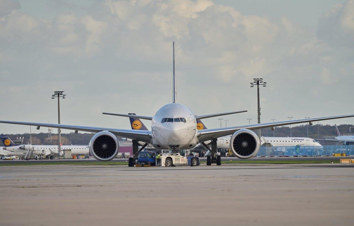 Lufthansa Cargo mở đường bay chở hàng hoá tới Việt Nam - Ảnh 1. Lufthansa Cargo mở đường bay chở hàng hoá tới Việt Nam - Ảnh 1.