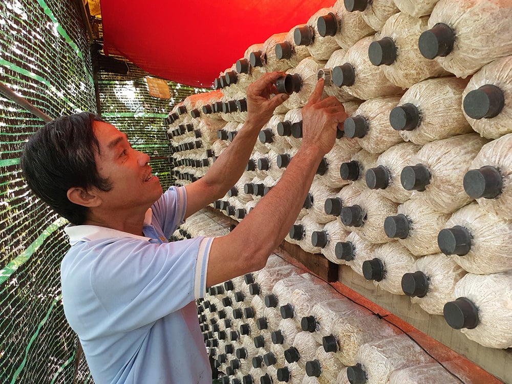 An Giang: Nông dân Châu Thành thi đua sản xuất kinh doanh giỏi, xuất hiện nhiều tỷ phú, triệu phú nông dân - Ảnh 3.